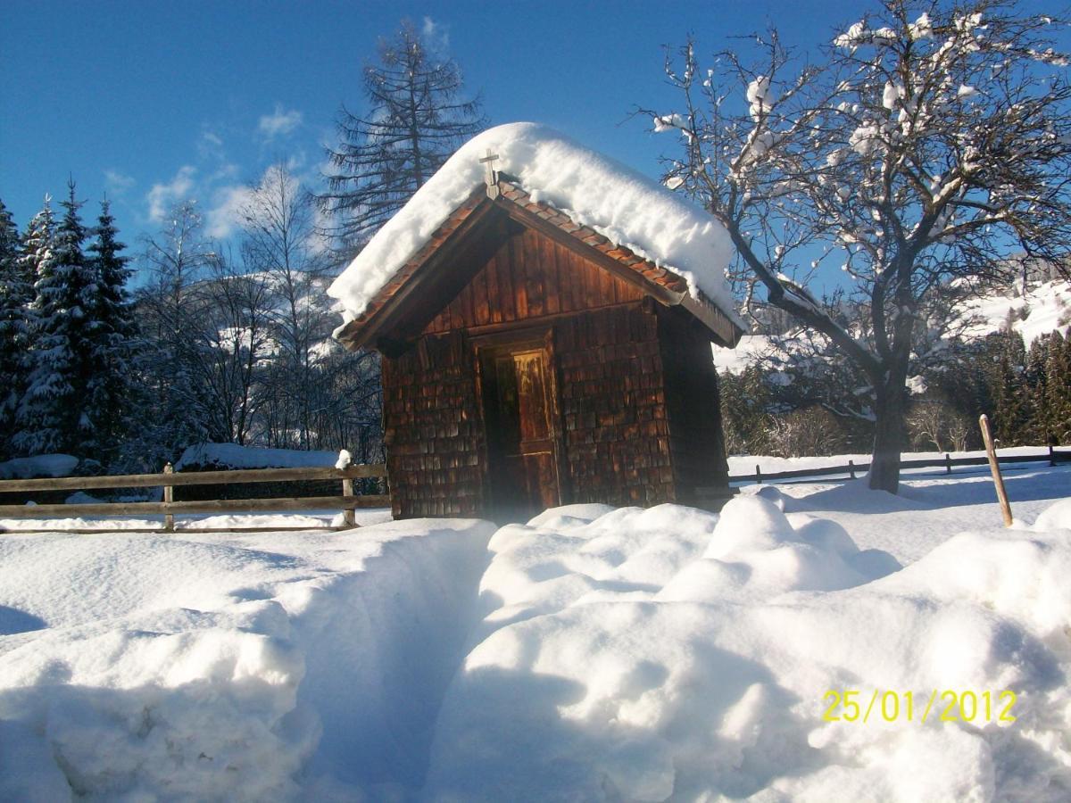 Mitterhaidgut Villa Hollersbach im Pinzgau Exterior photo