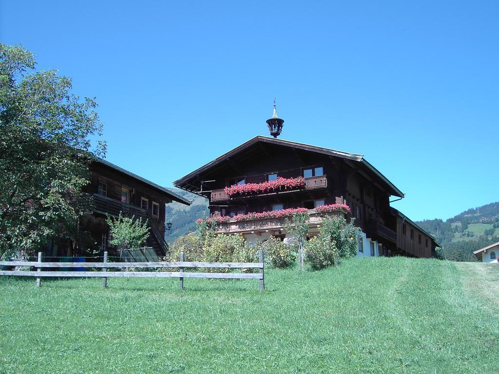 Mitterhaidgut Villa Hollersbach im Pinzgau Exterior photo