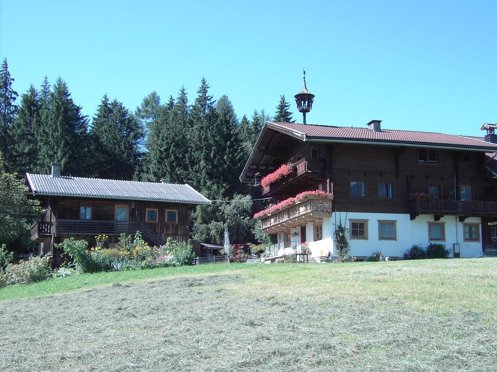 Mitterhaidgut Villa Hollersbach im Pinzgau Exterior photo