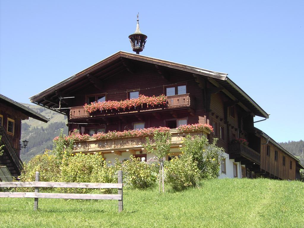 Mitterhaidgut Villa Hollersbach im Pinzgau Exterior photo