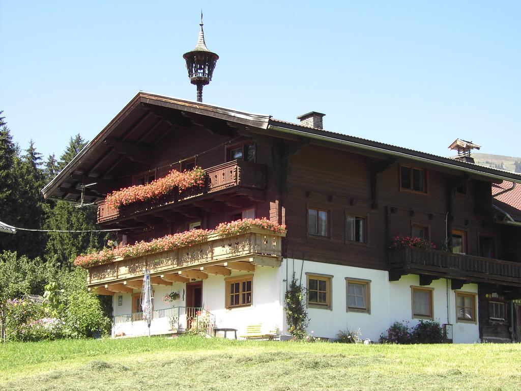 Mitterhaidgut Villa Hollersbach im Pinzgau Exterior photo
